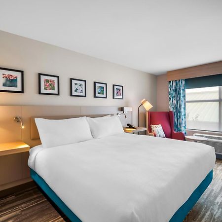 Hilton Garden Inn نورث كونويه المظهر الخارجي الصورة