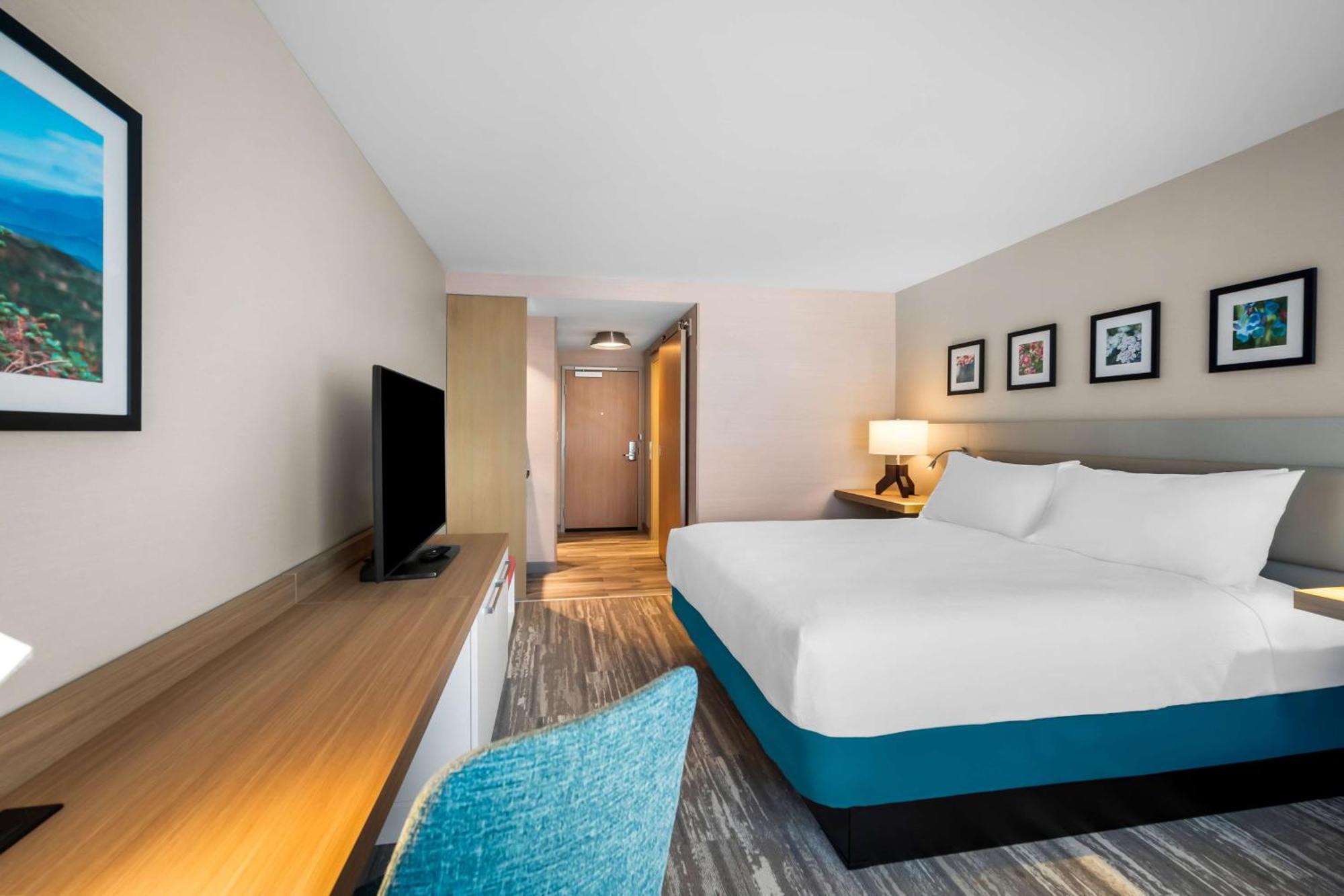 Hilton Garden Inn نورث كونويه المظهر الخارجي الصورة