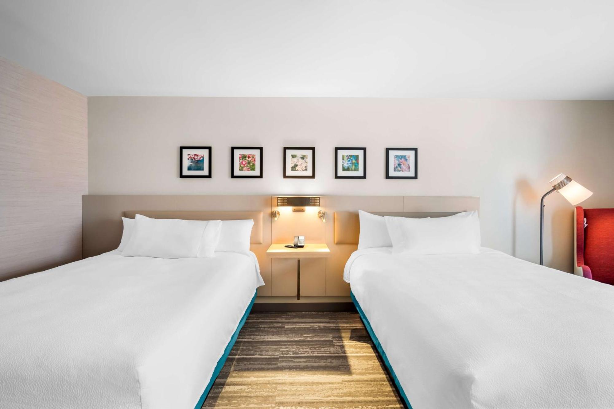 Hilton Garden Inn نورث كونويه المظهر الخارجي الصورة