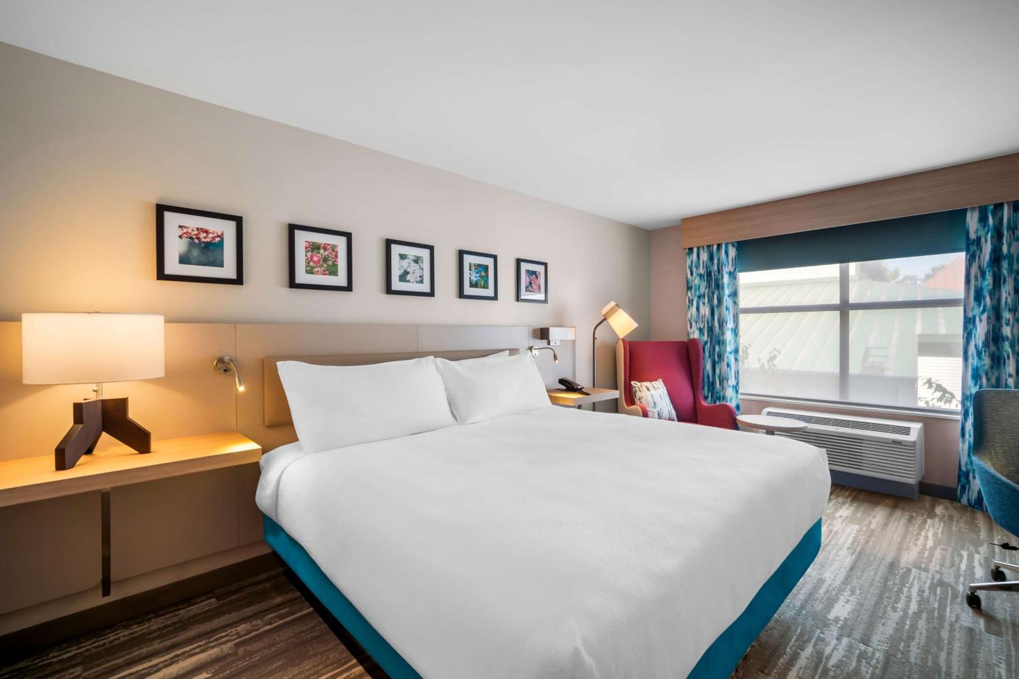 Hilton Garden Inn نورث كونويه المظهر الخارجي الصورة
